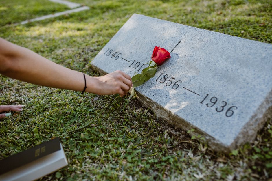A person’s hand, wearing a black bracelet, gently places a red rose with green leaves onto a gray granite memorial stone engraved with the years 1846-1916 and 1856-1936. The stone is situated on a g