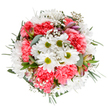 Bursting with the celebratory spirit found in Gospel Oak during spring, this beautifully composed bouquet is viewed from above in a pristine white setting that enhances every hue and form. At its vibrant center, snow-white daisies unfurl like miniature suns, radiating from chartreuse-centered hearts that catch the eye and invite a smile. Surrounding them, plush coral-pink carnations form fluttering layers of texture and warmth, their exuberance balanced by clouds of delicate white gypsophila that whisp throughout the design. Eucalyptus leaves and slender alstroemeria buds edged with hints of purple and soft pink introduce gentle fragrance and tonal contrast, reminiscent of peaceful walks along Oak Village. The arrangement's harmonious fullness and soft, uplifting palette make it ideal for expressing joy and heartfelt celebration, whether wishing someone happiness, honouring a milestone, or brightening a Gospel Oak home. With its meticulous balance of colours and textures, this bouquet is a testament to the artistry and devotion of local Gospel Oak florists who delight in capturing everyday beauty and community spirit in every fresh, hand-tied stem.