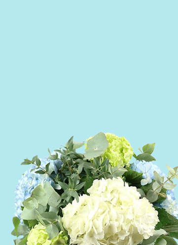 Same day Flowers Gospel Oak